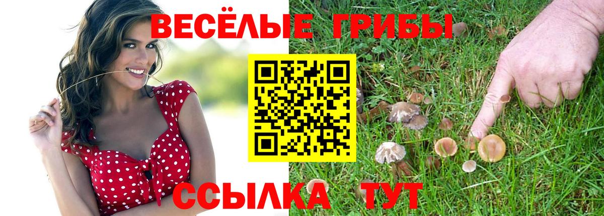 Белово  где продают наркотики  Вход с VPN  Псилоцибиновые грибы ЛСД 